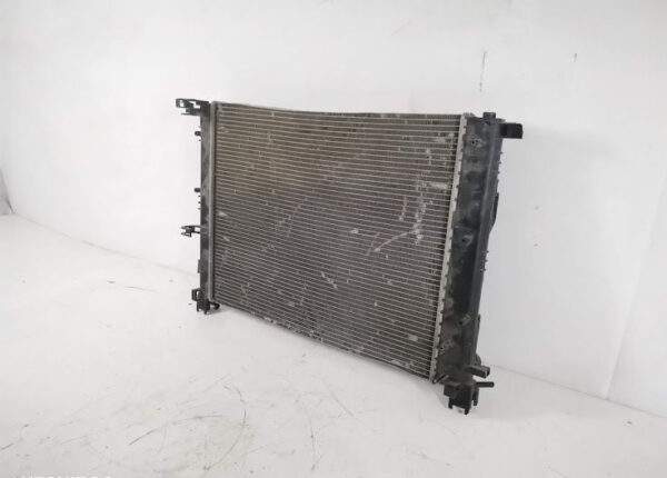 Radiator apa original in stare buna Dacia  Lodgy  1 [2013 - 2020] - imagine 6