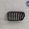 Grila fata dreapta originala BMW  X5  E70 [2006 - 2010] - imagine 4