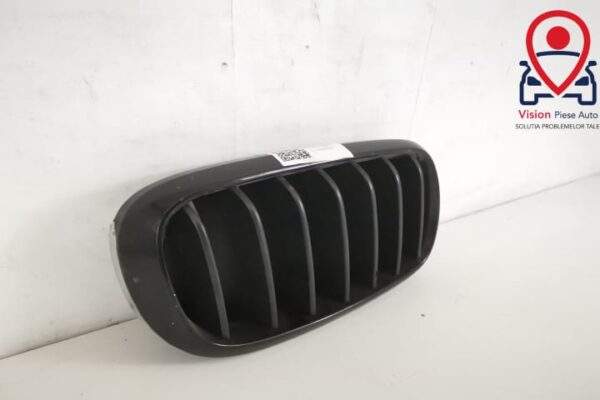 Grila Radiator Nara Dreapta Originala In Stare Buna BMW  X6  F16 [2014 - 2020] - imagine 2