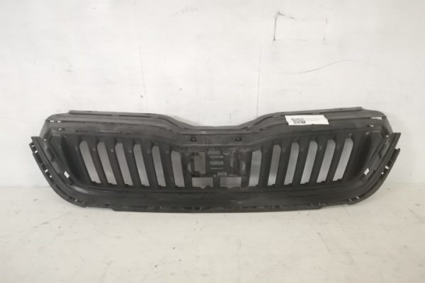 Grila Centrala Radiator Originala In Stare Buna Skoda  Scala  1 [2019 - 2019]