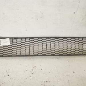 Grila Centrala Inferioara Fata Originala In Stare Buna BMW  Seria 7  F01/F02 [2008 - 2012]