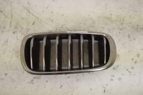Grila Nara Stanga Originala In Stare Buna BMW  X6  F16 [2014 - 2020]