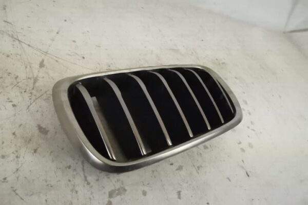 Grila Nara Stanga Originala In Stare Buna BMW  X6  F16 [2014 - 2020] - imagine 2