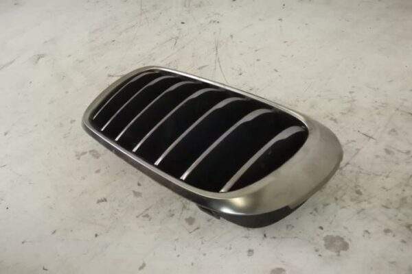 Grila Nara Stanga Originala In Stare Buna BMW  X6  F16 [2014 - 2020] - imagine 3