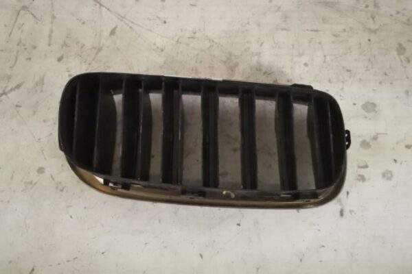 Grila Nara Stanga Originala In Stare Buna BMW  X6  F16 [2014 - 2020] - imagine 4