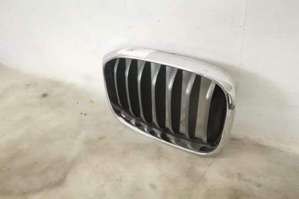 Grila Centrala Nara Stanga Originala In Stare Buna	 BMW  X3  G01 [2017 - 2020] - imagine 3