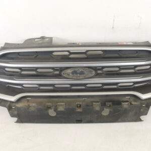 Grila Radiator Centrala Originala In Stare Buna Ford  EcoSport  2 [facelift] [2017 - 2020]
