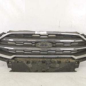 Grila Centrala Radiator Originala In Stare Buna  Ford  EcoSport  2 [facelift] [2017 - 2020]