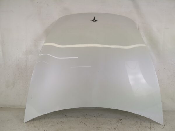 Capota Motor Tesla  Model 3 1 [2017 - 2020] Originala
