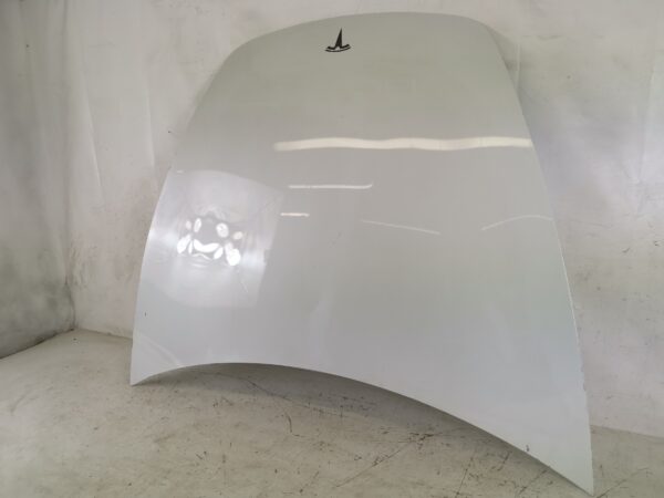 Capota Motor Tesla  Model 3 1 [2017 - 2020] Originala - imagine 4